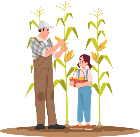 Farmer Harvesting Corn With His Daughter  Illustration