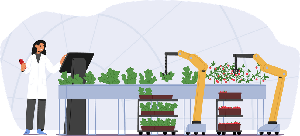 Farmer Harvesting Crop Using Automated Robotics Technologies And Smart Iot Control For Greenhouse And Farm  Illustration