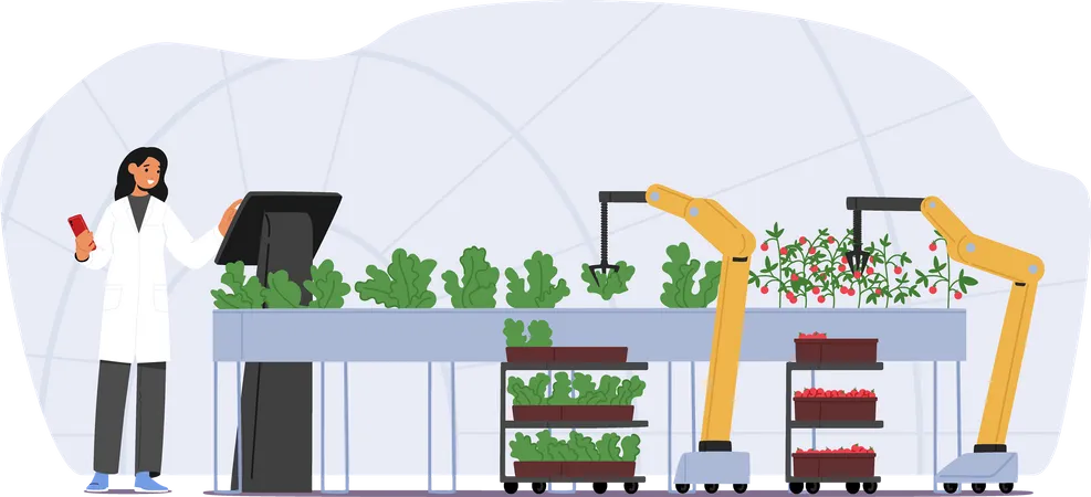 Farmer Harvesting Crop Using Automated Robotics Technologies And Smart Iot Control For Greenhouse And Farm  Illustration