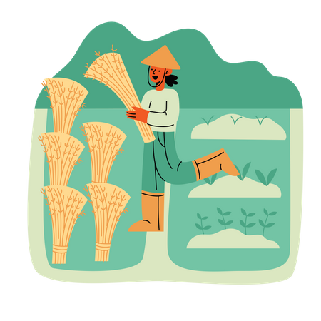 Farmer harvesting  Illustration