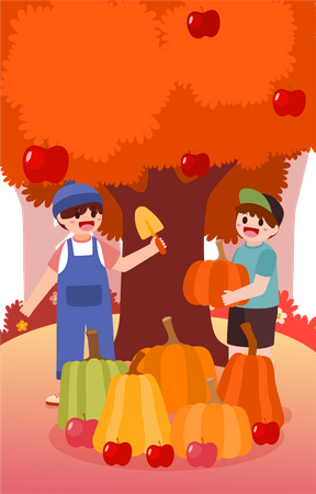 Farmer harvesting pumpkins and apples  Illustration