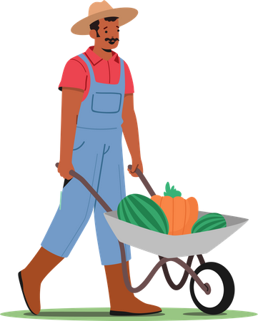 Farmer Harvesting Ripe Fruits Illustration