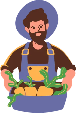 Farmer holding fresh vegetables Basket  Illustration