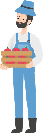 Farmer holding fruit basket  Illustration