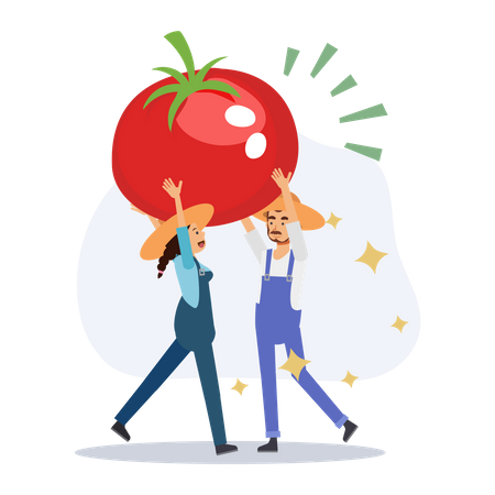 Farmer holding tomato  Illustration