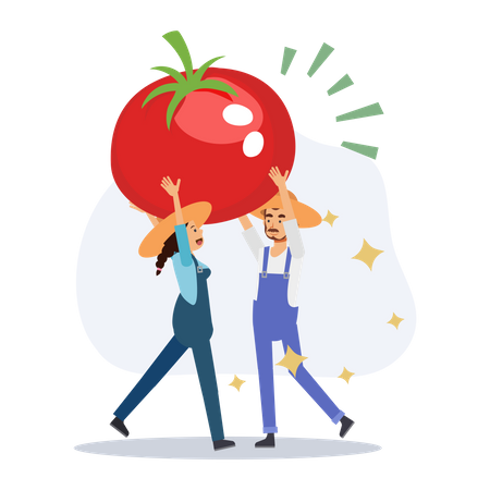 Farmer holding tomato  Illustration