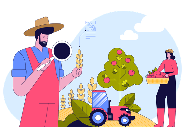 Farmer holds magnifier research wheat plant while Woman picking apples at garden  Illustration