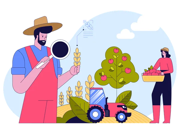 Farmer holds magnifier research wheat plant while Woman picking apples at garden  Illustration