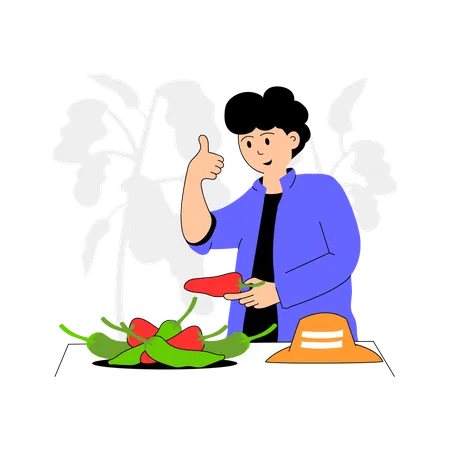 Farmer inspecting and harvesting green chillies  Illustration