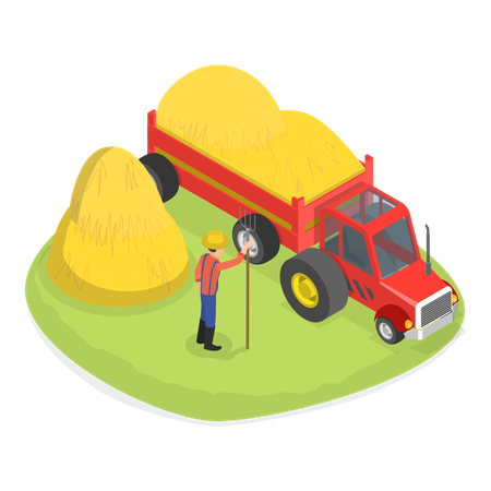 Farmer loading the harvested crops in tractor  Illustration