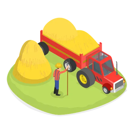 Farmer loading the harvested crops in tractor  Illustration