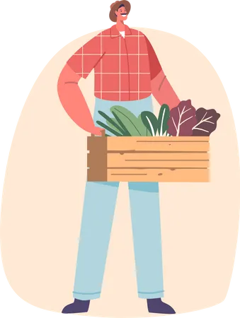 Farmer Male Character Proudly Holds A Wooden Box Filled With Fresh  Illustration