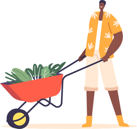 Farmer Male Character Pushes A Trolley Filled With Fresh Green Vegetables  Illustration