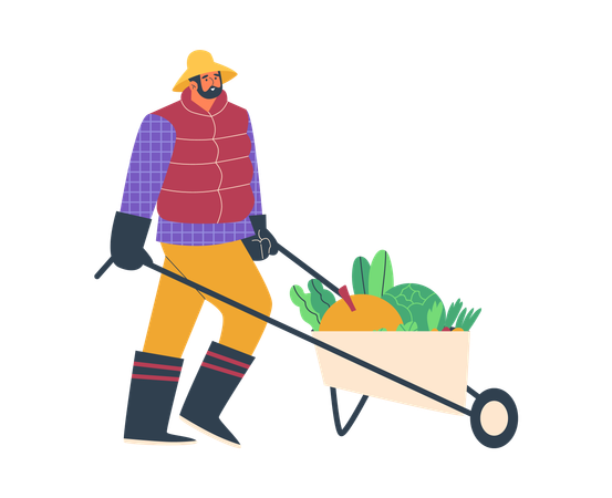 Farmer man pushing cart with fresh vegetables  Illustration