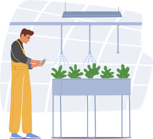 Farmer Managing His Greenhouse With Mobile App Illustration