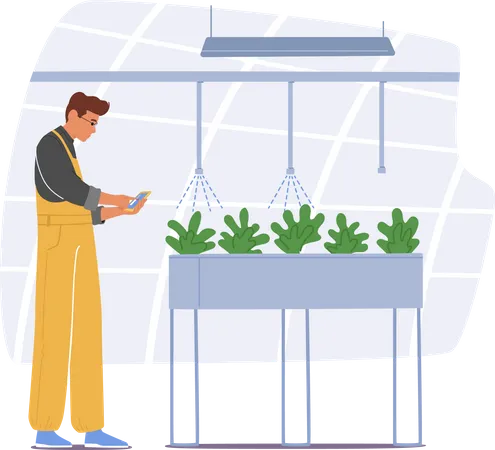 Farmer Managing His Greenhouse With Mobile App Illustration