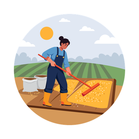 Farmer Packing Fresh Produce for Market  Illustration