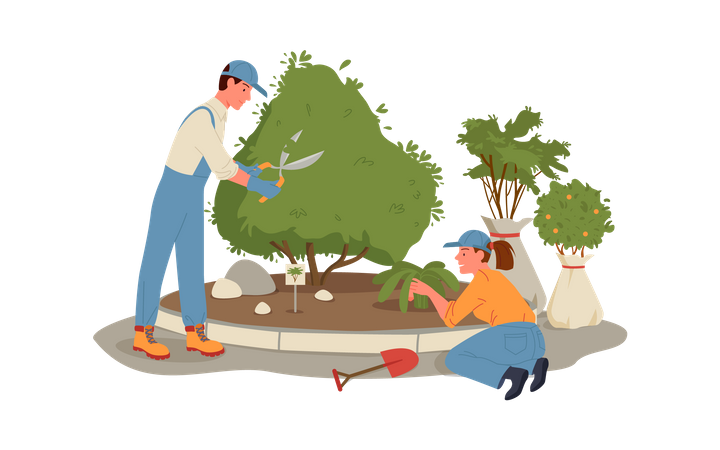 Farmer Planting  Illustration