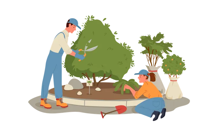 Farmer Planting  Illustration