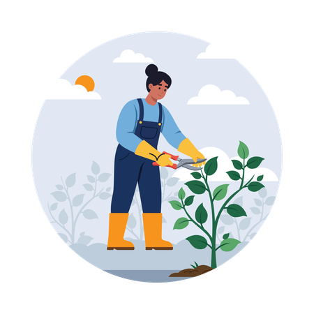 Farmer Pruning Fruit Trees  Illustration