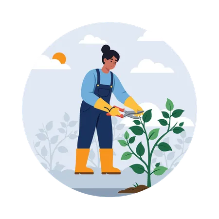 Farmer Pruning Fruit Trees  Illustration