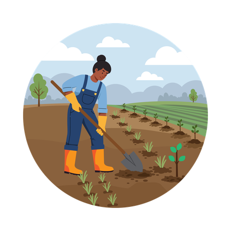 Farmer Sowing Seeds in the Field  Illustration