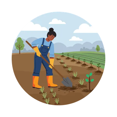 Farmer Sowing Seeds in the Field  Illustration