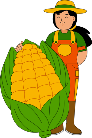 Farmer standing with sweet corn  Illustration