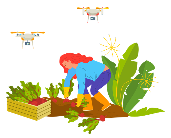 Farmer using drone technology to sprinkle fertilisers  イラスト