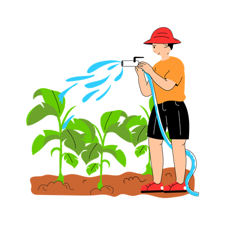 Farmer using hose to water crops in the field  Illustration