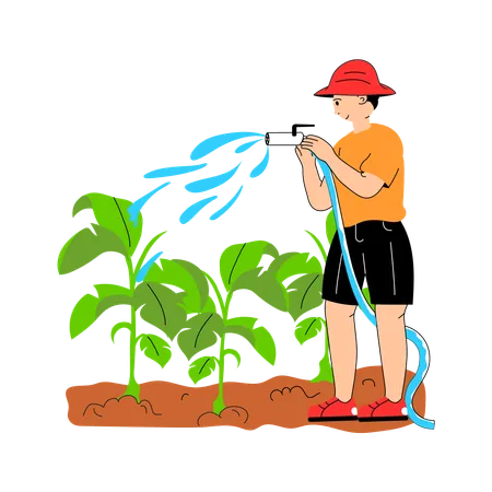 Farmer using hose to water crops in the field  Illustration