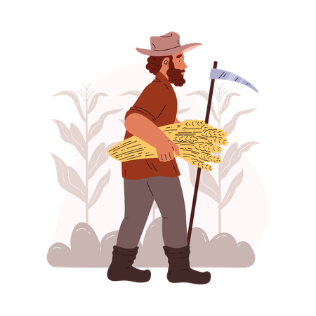 Farmer walking with sheaf of wheat  Illustration