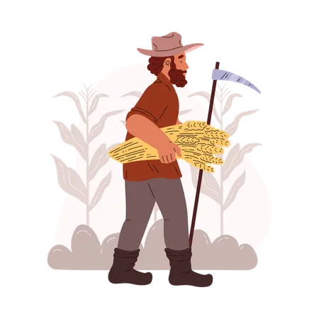 Farmer walking with sheaf of wheat  Illustration