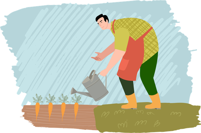 Farmer watering carrot plants  Illustration
