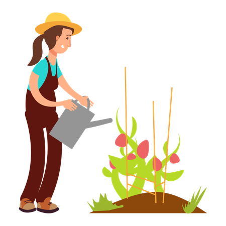 Farmer watering plant  Illustration