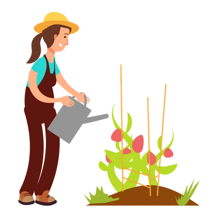 Farmer watering plant  Illustration