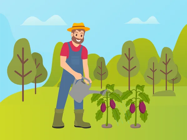Farmer Caring For Land And Plants Vector Plantation Of Aubergines Eggplants Forest And Nature Trees And Green Hills Farming Season Agriculture Illustration