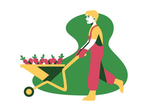 Farmer with carrot trolley  Illustration