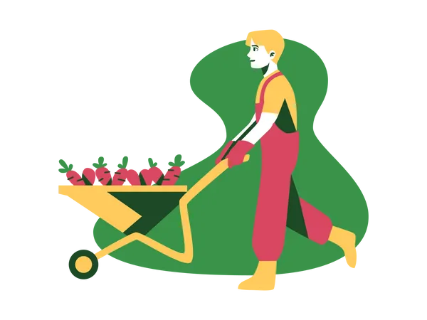 Farmer with carrot trolley  Illustration