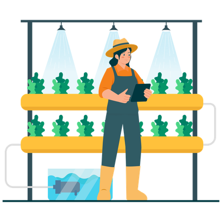 Farmer working on hydroponic Farming Monitoring  Illustration