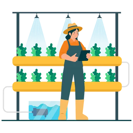 Farmer working on hydroponic Farming Monitoring  Illustration