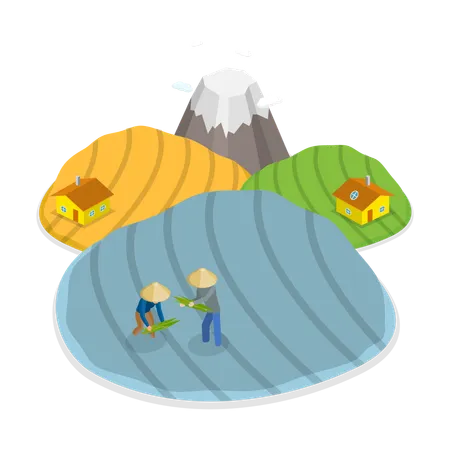 Farmers growing crops in their farms  Illustration