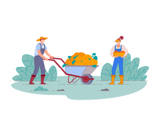 Farmers harvesting fruit crop  Illustration