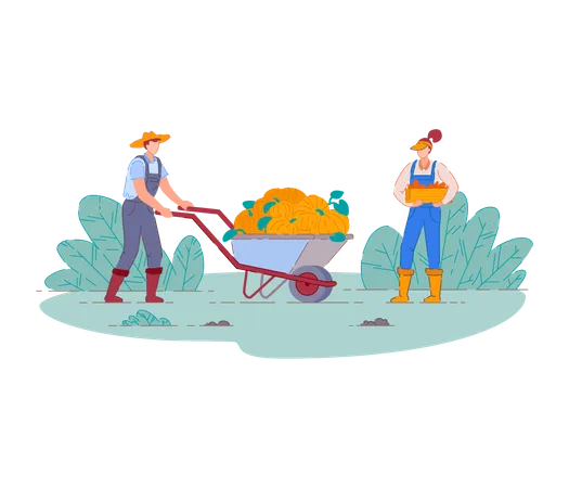 Farmers harvesting fruit crop  Illustration