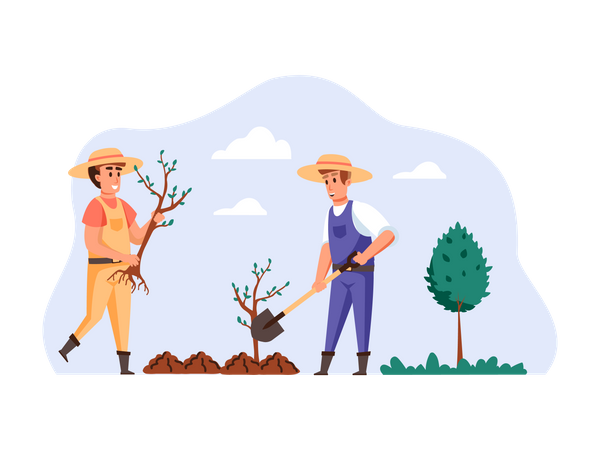 Farmers planting new plant  Illustration