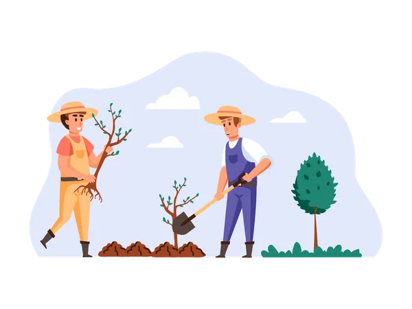 Farmers planting new plant  Illustration