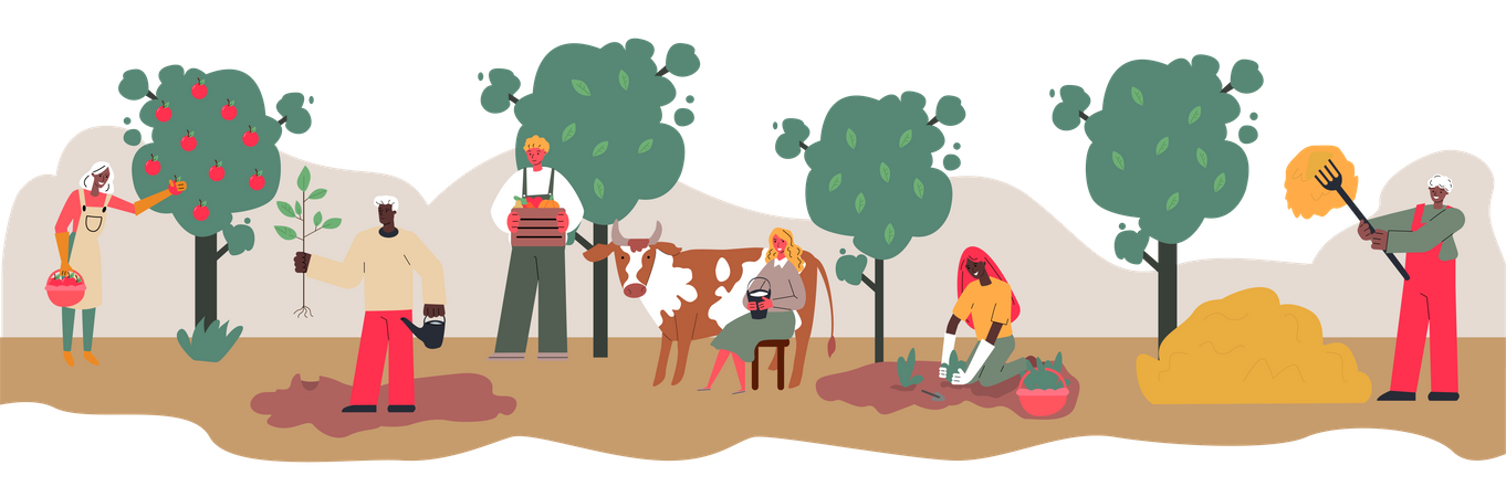 Farming activities  Illustration