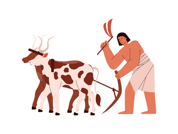 Farming ancient egyptian working with whip plows the land with cows  Illustration