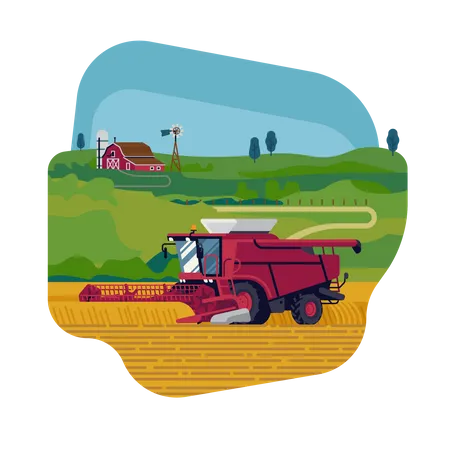 Farming and agriculture with combine harvester harvesting grain crops Illustration