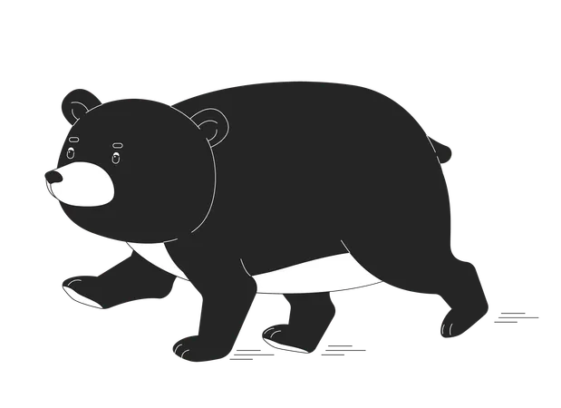 Fat Bear Running Black And White 2 D Line Cartoon Character Carnivore Creature Preying Wild Animal Isolated Line Vector Personage Beware Of Forest Habitats Monochromatic Flat Spot Illustration Illustration